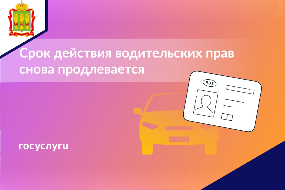 Водительские права пока можно не менять Водительские права пока можно не менять