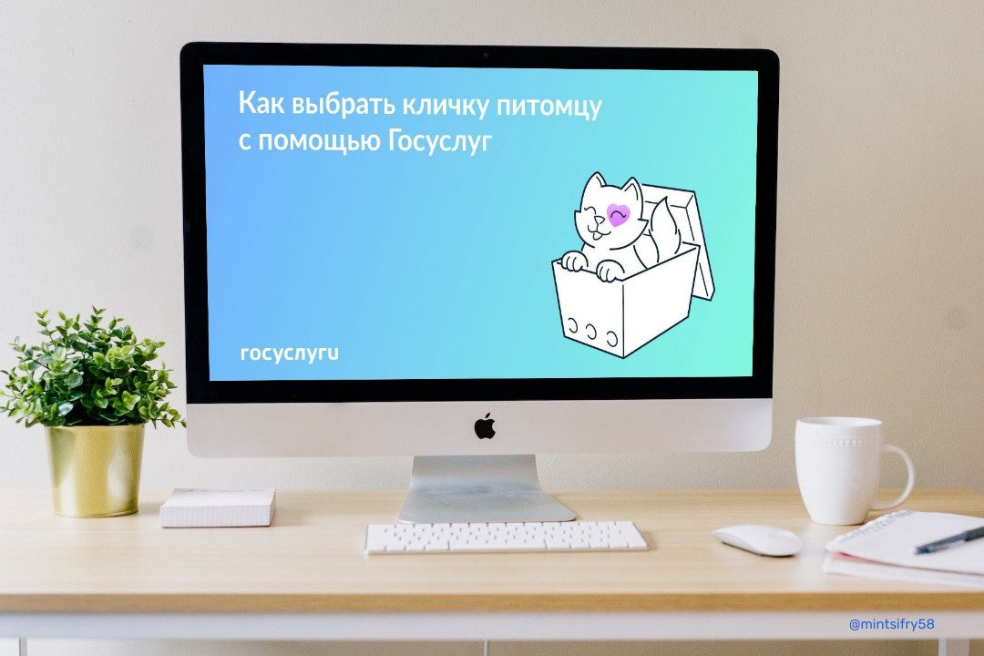 На Госуслугах появился генератор кличек для питомцев На Госуслугах появился генератор кличек для питомцев