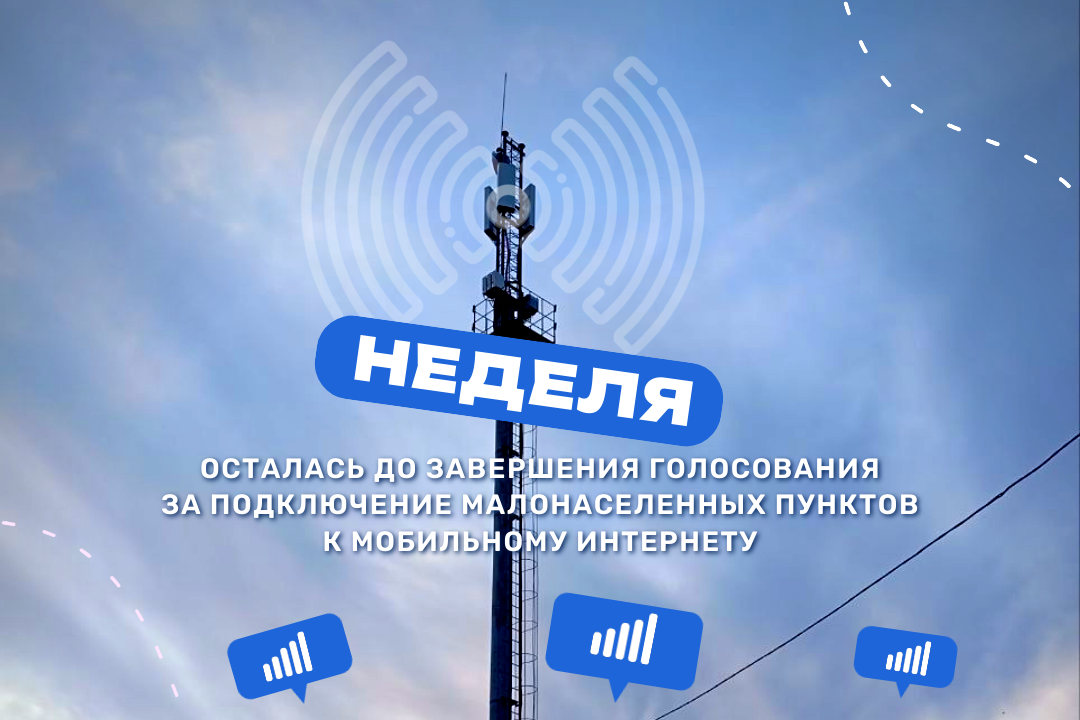 Осталась неделя до завершения народного голосования за подключение мобильного интернета в деревнях и сёлах Пензенской области