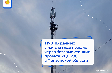 В Пензенской области посчитали объем потребления трафика в сёлах, деревнях и посёлках, где связь появилась по федеральной программе УЦН 2.0