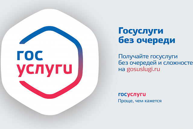 Определен ТОП-10 электронных государственных услуг Пензенской области