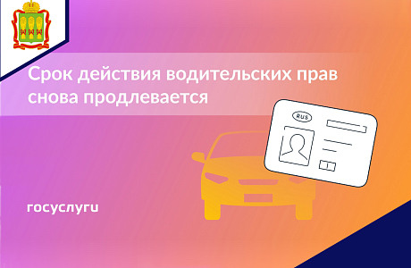 Водительские права пока можно не менять
