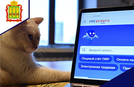 На портале Госуслуг можно записаться к нотариусу На портале Госуслуг можно записаться к нотариусу